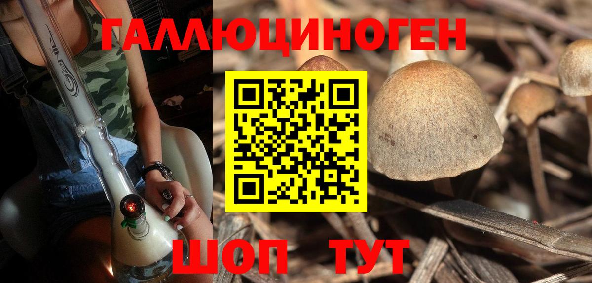 Красноярск  Галлюциногенные грибы MAGIC MUSHROOMS  Вход с VPN 
