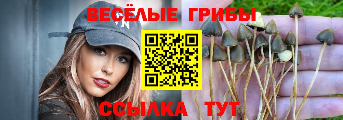 Галлюциногенные грибы Magic Shrooms Красноярск